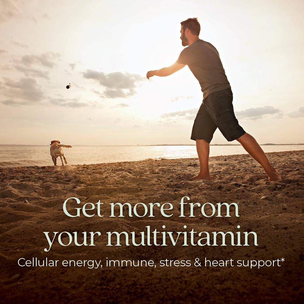 New Chapter Men's Multivitamin for Immune, Stress, Heart + Energy Support with Fermented Nutrients - Every Man's One Daily, Made with Organic Vegetables & Herbs, Non-GMO, Gluten Free - 96 ct