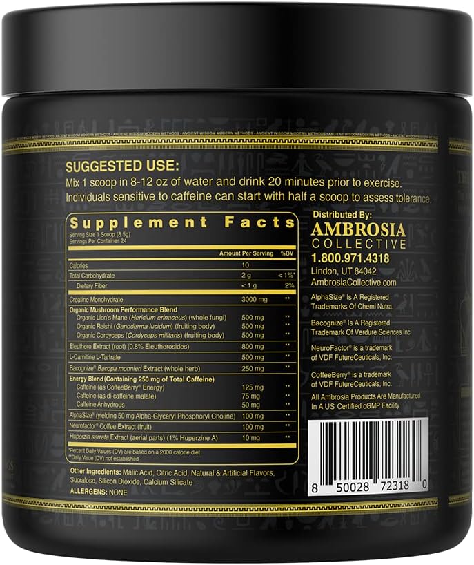 Ambrosia Kinetic Organic Preworkout, Mushroom Enhanced Natural Pre Workout Supplement, Nootropic Superfood Powder for Energy (Blue Raspberry)