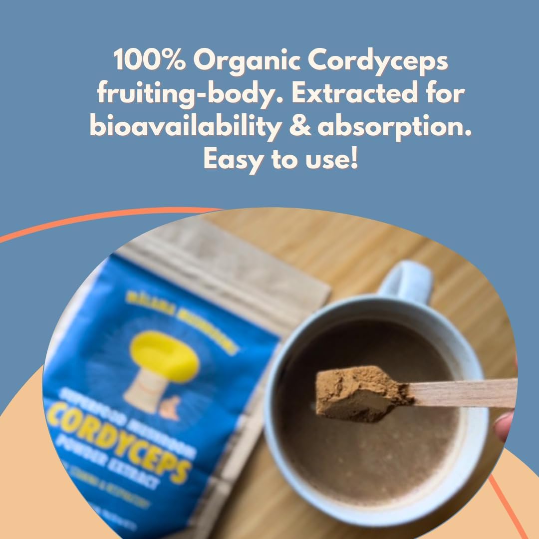 Cordyceps Extract Powder by Malama, Organic Fruiting Body Cordyceps Mushroom Powder, Superfood Adaptogenic, Supports Energy, Endurance & Mood, 100 Servings