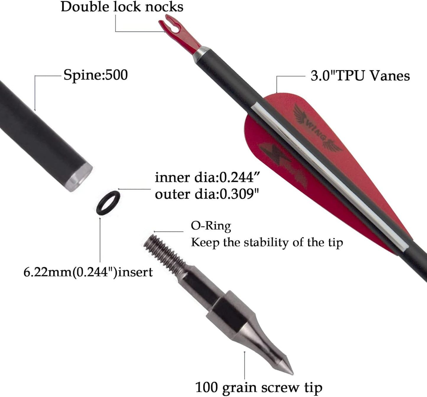 31inch Carbon Arrow Archery Targeting Practice Hunting Arrows for Compound & Recurve Bow with Removable Tips(Pack of 12)