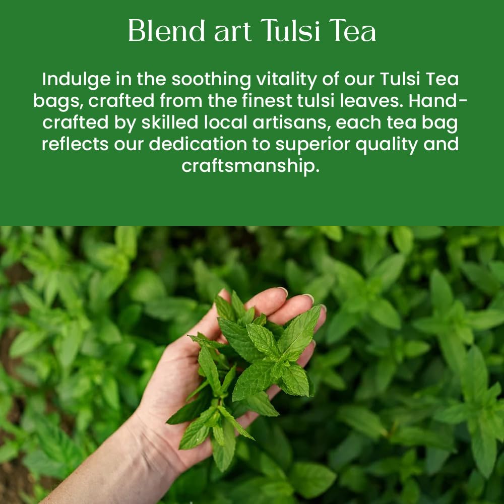 Tulsi Holy Basil Tea Bags 100 Count For Cognitive Balance & Overall Health Ayurvedic Tulsi With Antioxidants Caffeine Free Holy Basil Leaves Pyramid Herbal Tea Bags Support Digestion & Boost Immunity