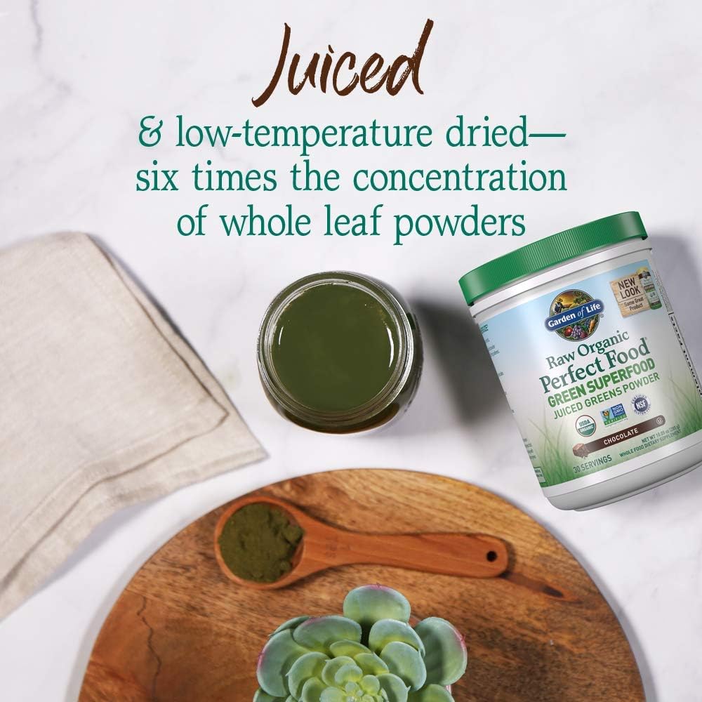 Garden of Life Raw Organic Perfect Food Green Superfood Juiced Greens Powder - Chocolate, 30 Servings - Non-GMO, Gluten Free, Vegan Whole Food Dietary Supplement, Plus Probiotics & Enzymes