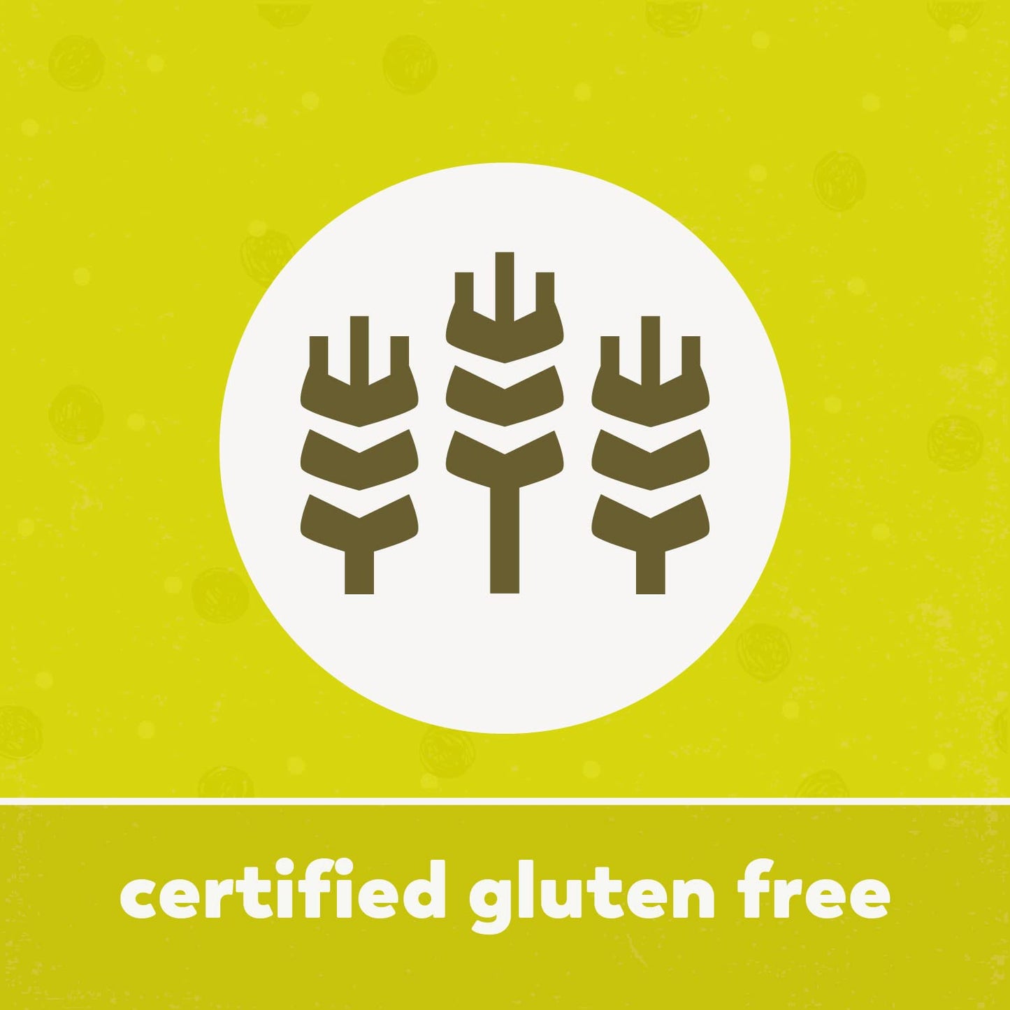 Yupik Roasted Salted Whole Cashews, 2.2 lb (35.2 oz), Pack of 6, Gluten-Free, Kosher, Vegan, Seasoned Nuts, Lightly Coated with Salt, Source of Protein & Iron, Crunchy, Savory Snacks