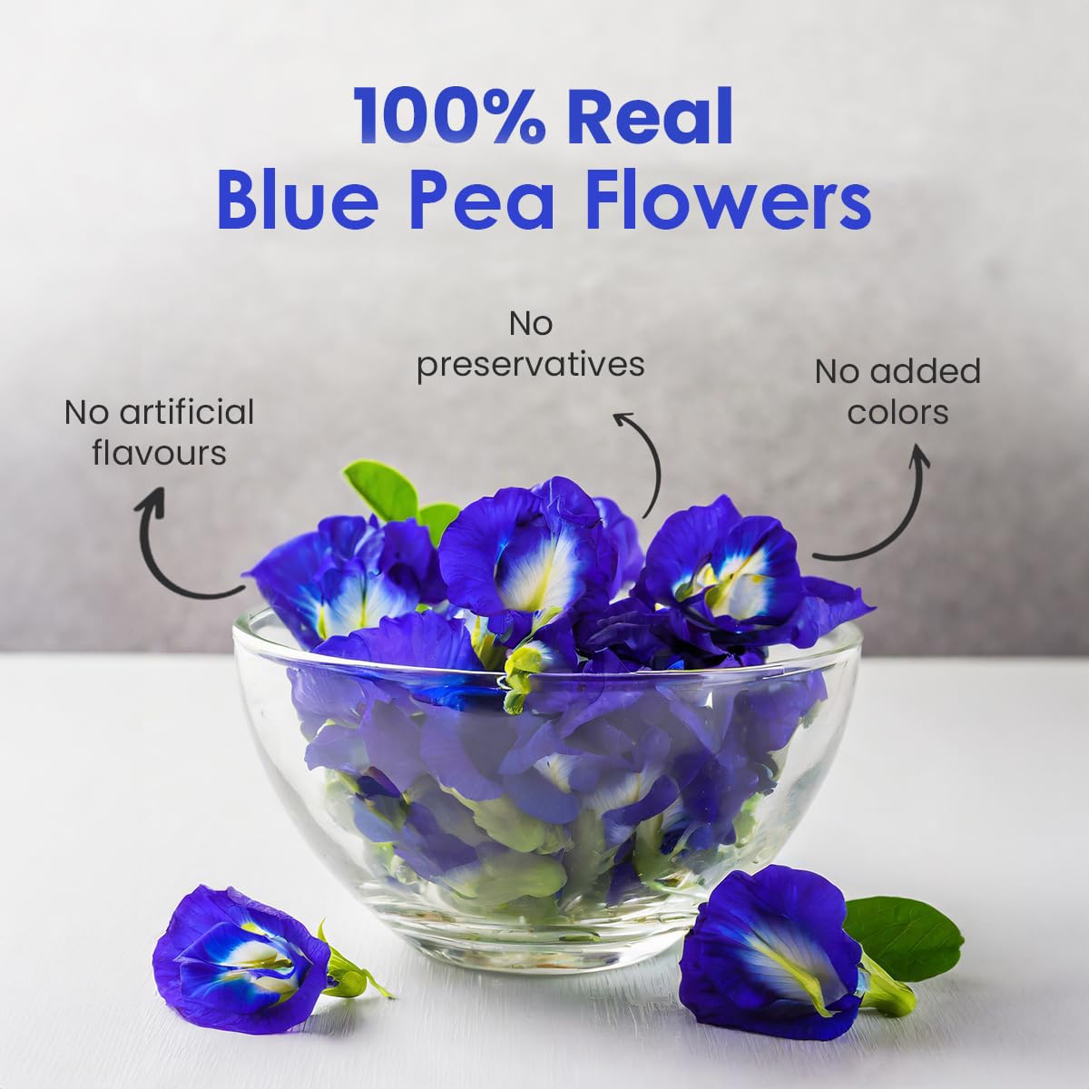 TGL Co. Blue Butterfly Pea Flower Tea (1.76 oz / 50g) Tall Tin Can | Natural Herbal Tea | Enjoy Hot or Iced | Blue Tea