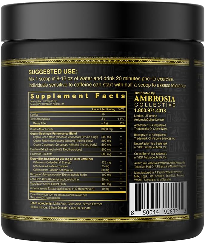 Ambrosia Kinetic Organic Preworkout, Mushroom Enhanced Natural Pre Workout Supplement, Nootropic Superfood Powder for Energy (Tropical Lime)