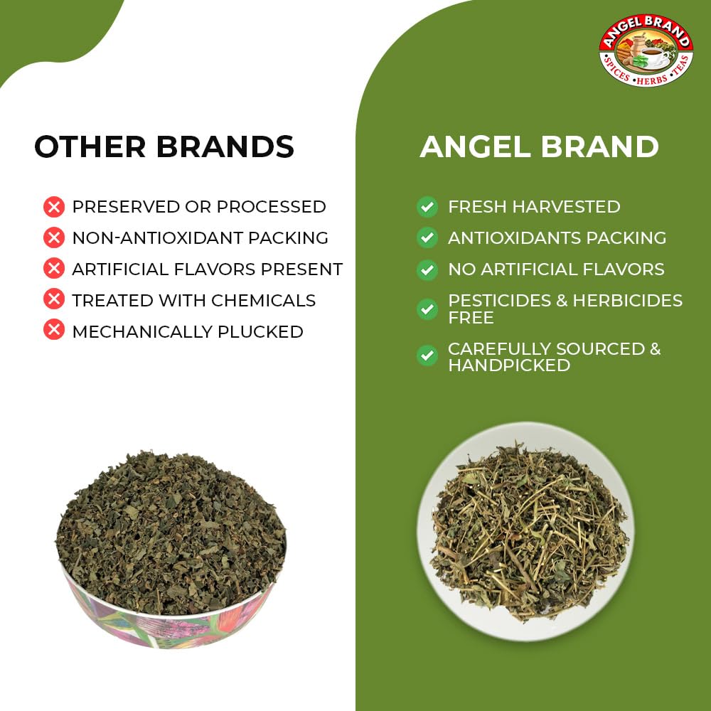 Angel Brand Jamaican Strongback Herb 0.25 oz Pouch Pack of 3 - Sourced from Fertile Land of Jamaica- Strongback Earthy,Woody & Bitter Flavor - Provide Comfort to your Back
