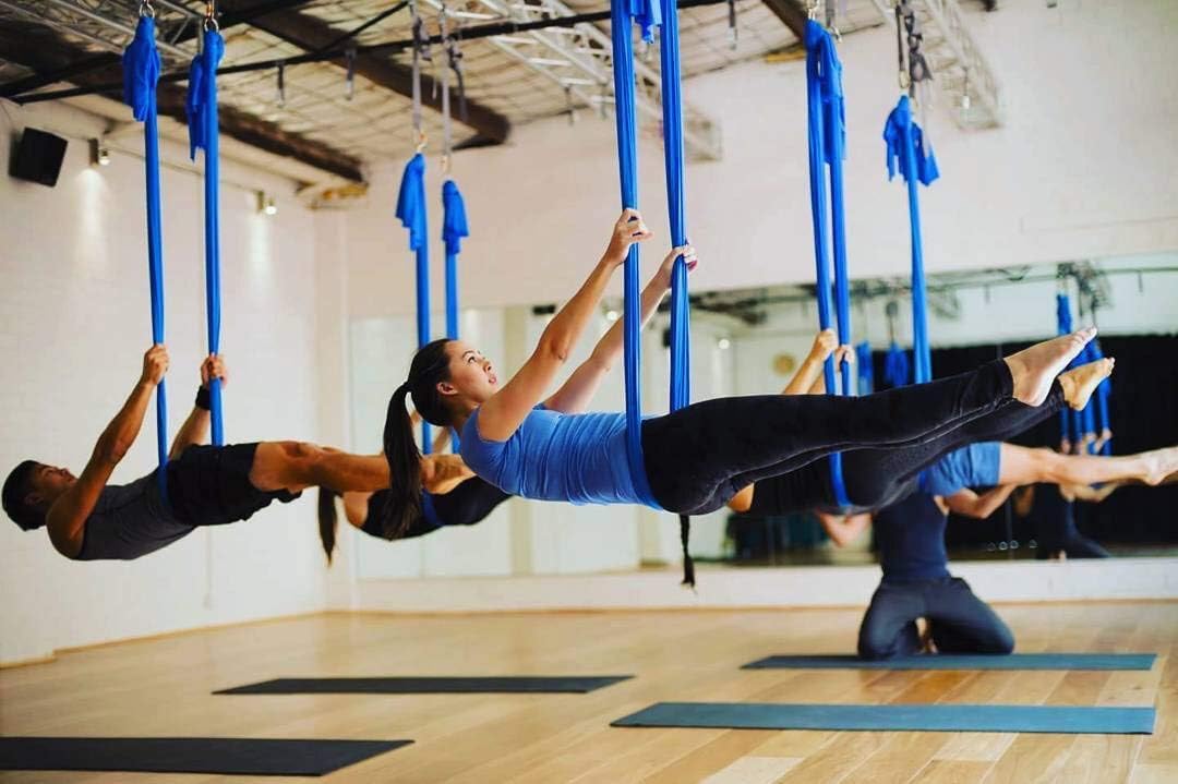 F.Life Aerial Silk Yoga Hammock & Swing for yoga Inversion,Strength training,starter hardware kit