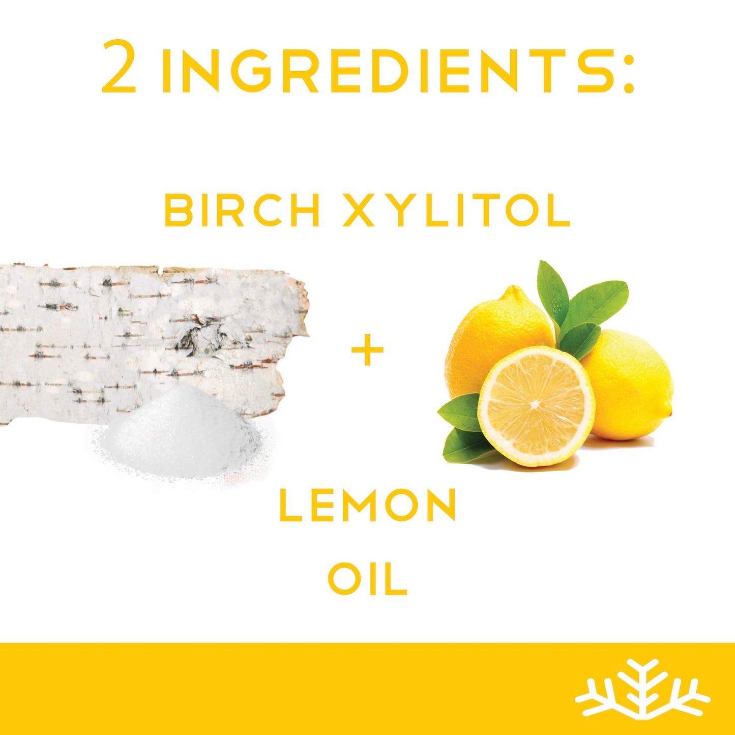 Lemon Xylitol Candy Chips (6-Pack) - SNØ 1.5oz Tins - Handcrafted w/ONLY 2 Ingredients | Diabetic-friendly, Non-GMO, Vegan, Keto, GF & Kosher | Purest sugar-free candy in the world!