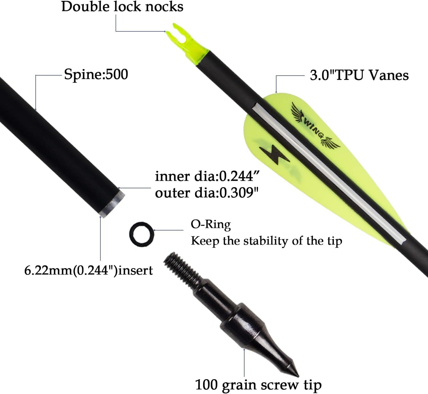 31inch Carbon Arrow Archery Targeting Practice Hunting Arrows for Compound & Recurve Bow with Removable Tips(Pack of 12)