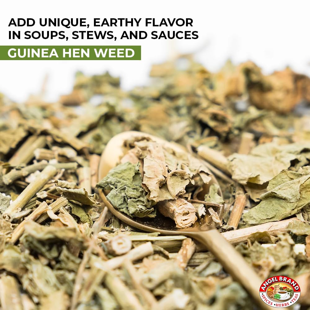 Angel Brand Guinea Hen leaves Tea – 0.5 oz Pouch Pack of 3 Sourced From Lush Tropics, Discover Potent & Versatile Qualities of Our Premium Anamu Plant - Famous for Its Health Benefits