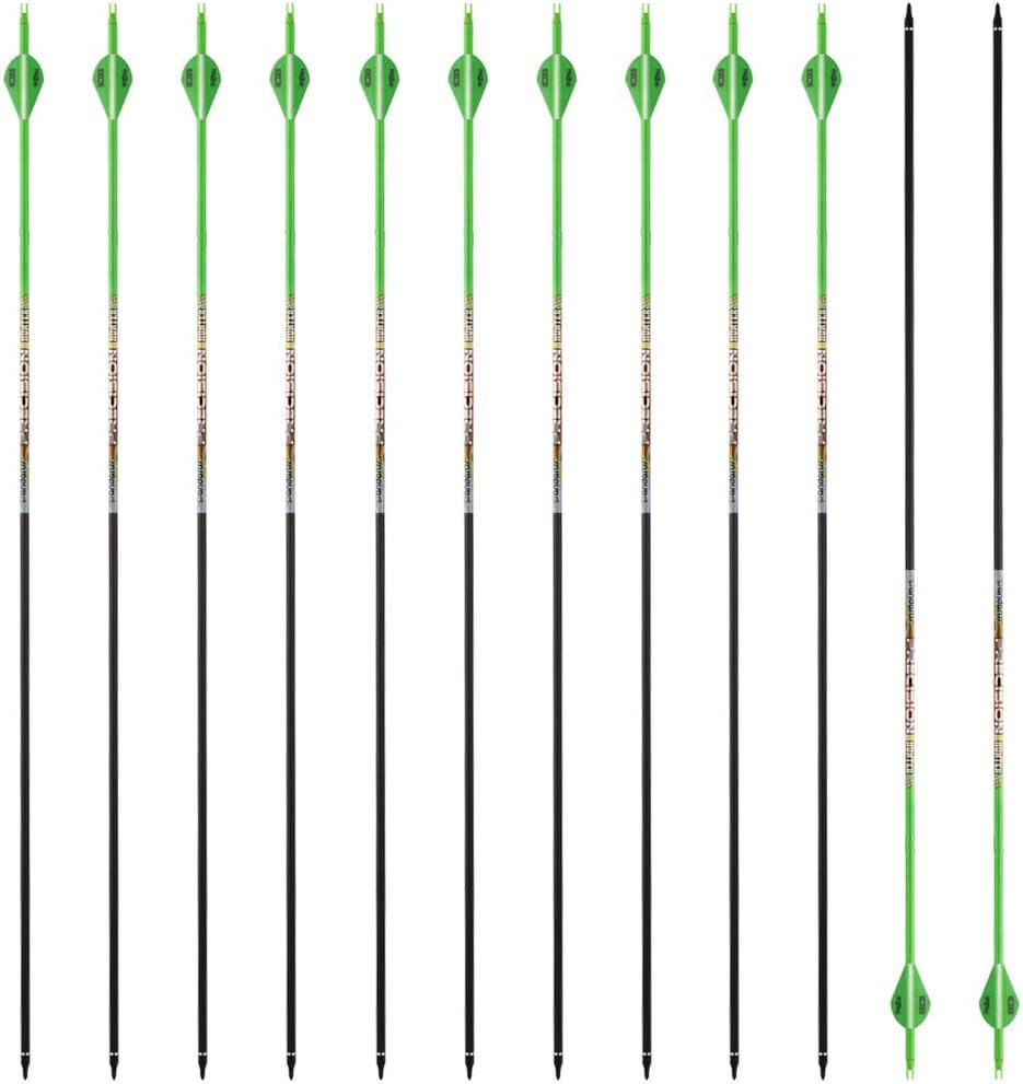 30/32" Inch ST0.006 Hunting Arrows for Compound & Recurve Bow,100% Carbon Archery Target Arrows with Removable Tips for Accurate Hunters & Bowhunters (Pack of 12)