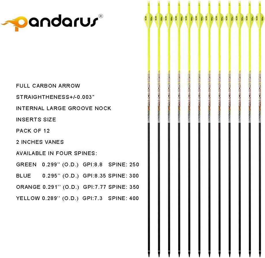 30/32" Inch ST0.006 Hunting Arrows for Compound & Recurve Bow,100% Carbon Archery Target Arrows with Removable Tips for Accurate Hunters & Bowhunters (Pack of 12)