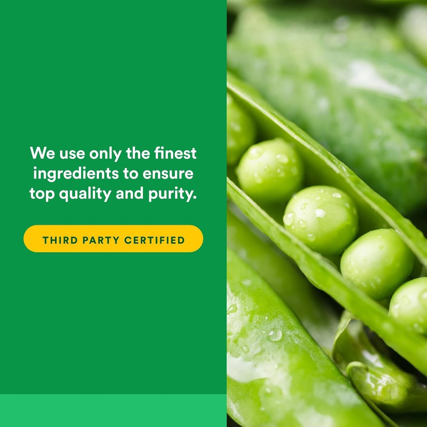 Natural Factors Whole Earth & Sea, Organic Fermented Greens, Vegan Whole Food Supplement, Unflavored, 6.9 Oz