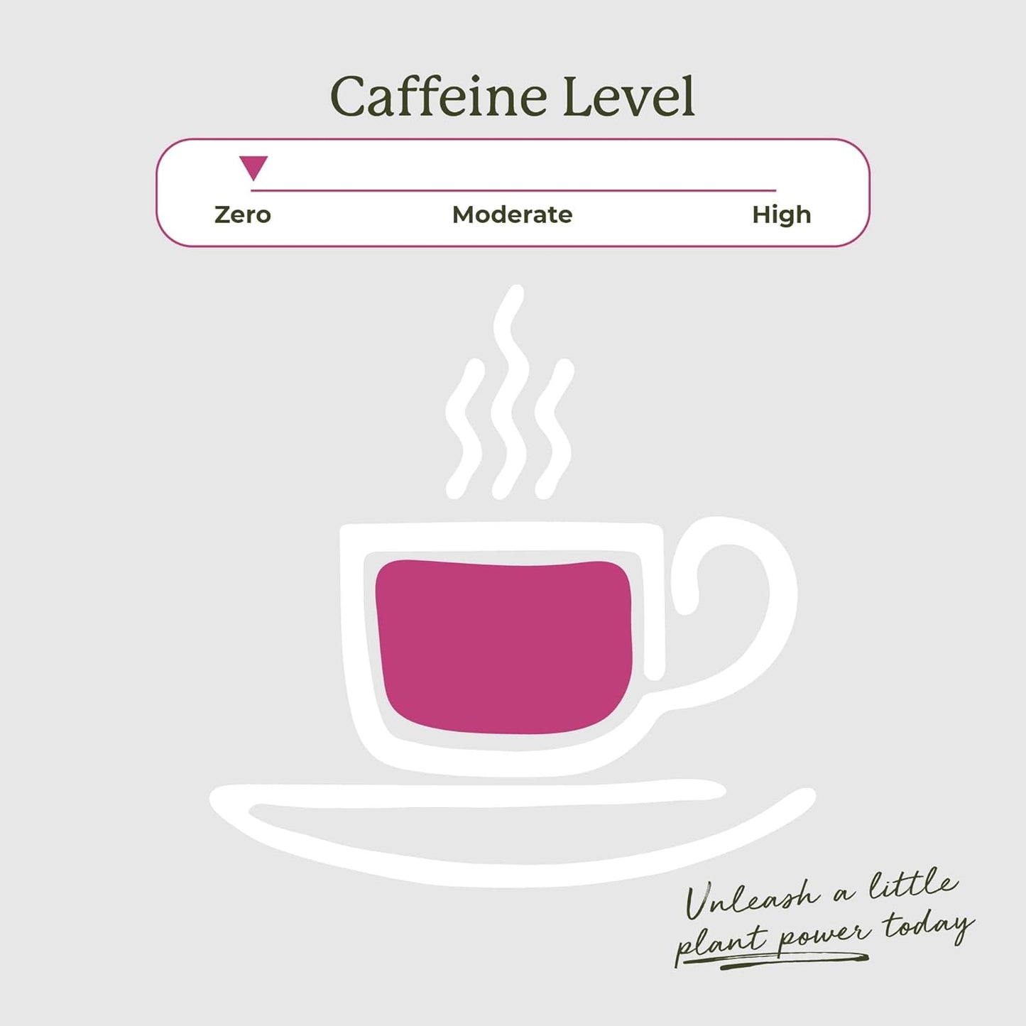 Starwest Botanicals Organic Milk Thistle Seed Tea - Caffeine Free Herbal Tea, Promotes Calm, USDA Organic Milk Thistle Seed, String Free Sachets, Non GMO - Bulk Pack, 100 Tea Bags