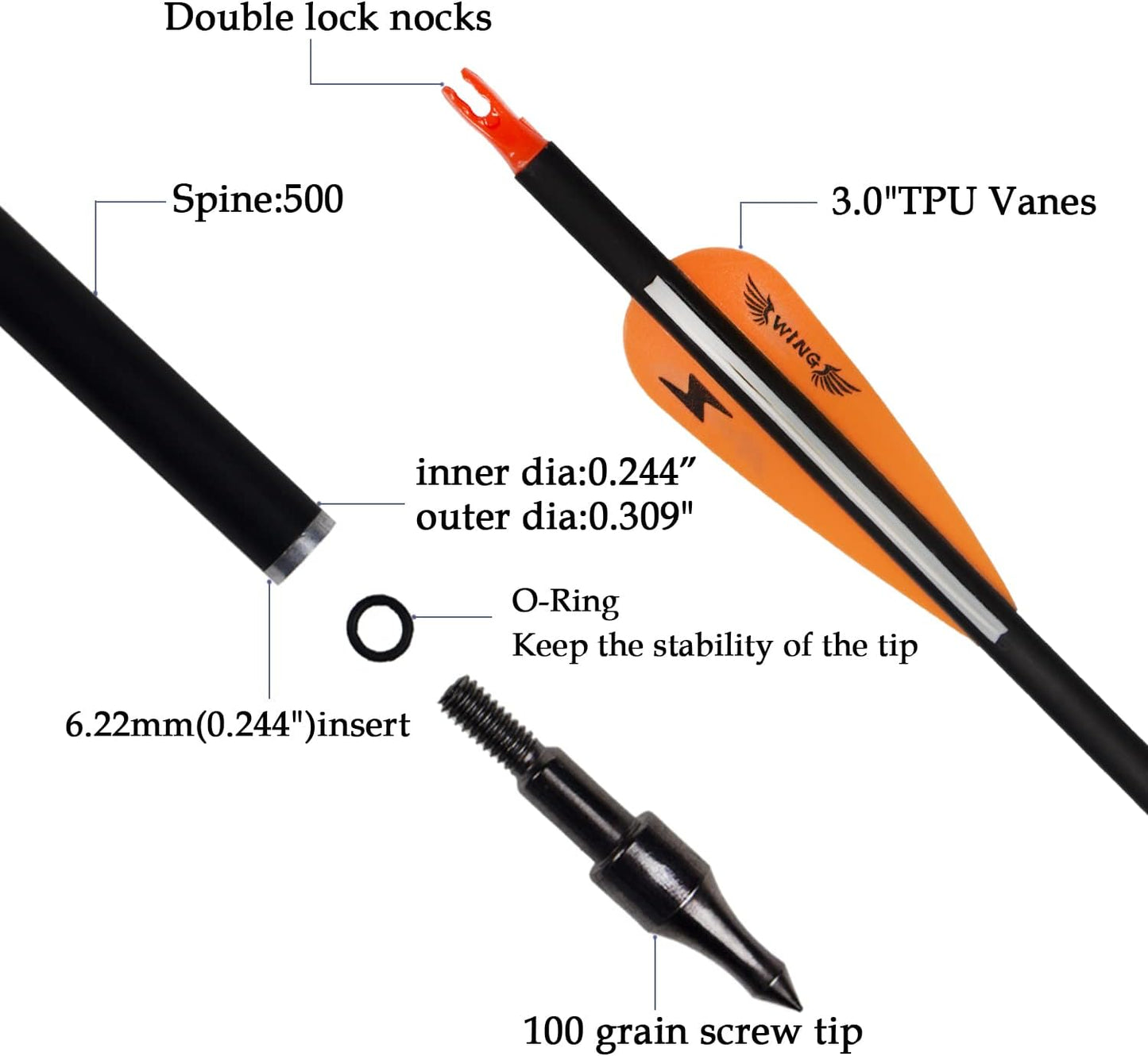 31inch Carbon Arrow Archery Targeting Practice Hunting Arrows for Compound & Recurve Bow with Removable Tips(Pack of 12)