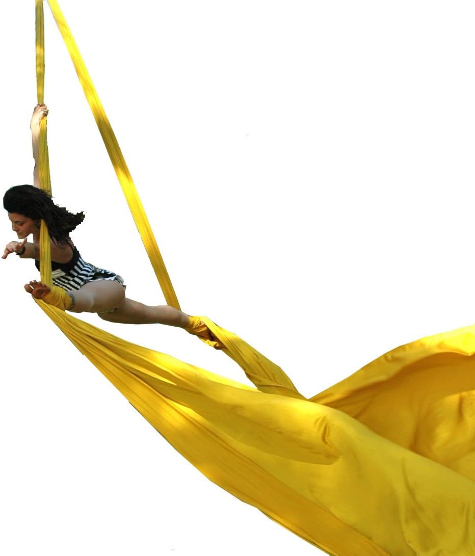 DASKING Aerial Silks Starter Kit - Durable 11Yards of Aerial Yoga Hammock with Hardware, Aerial Swing for Acrobatic Flying Yoga & All Levels (Aerial Rigging Point Up to 14ft)