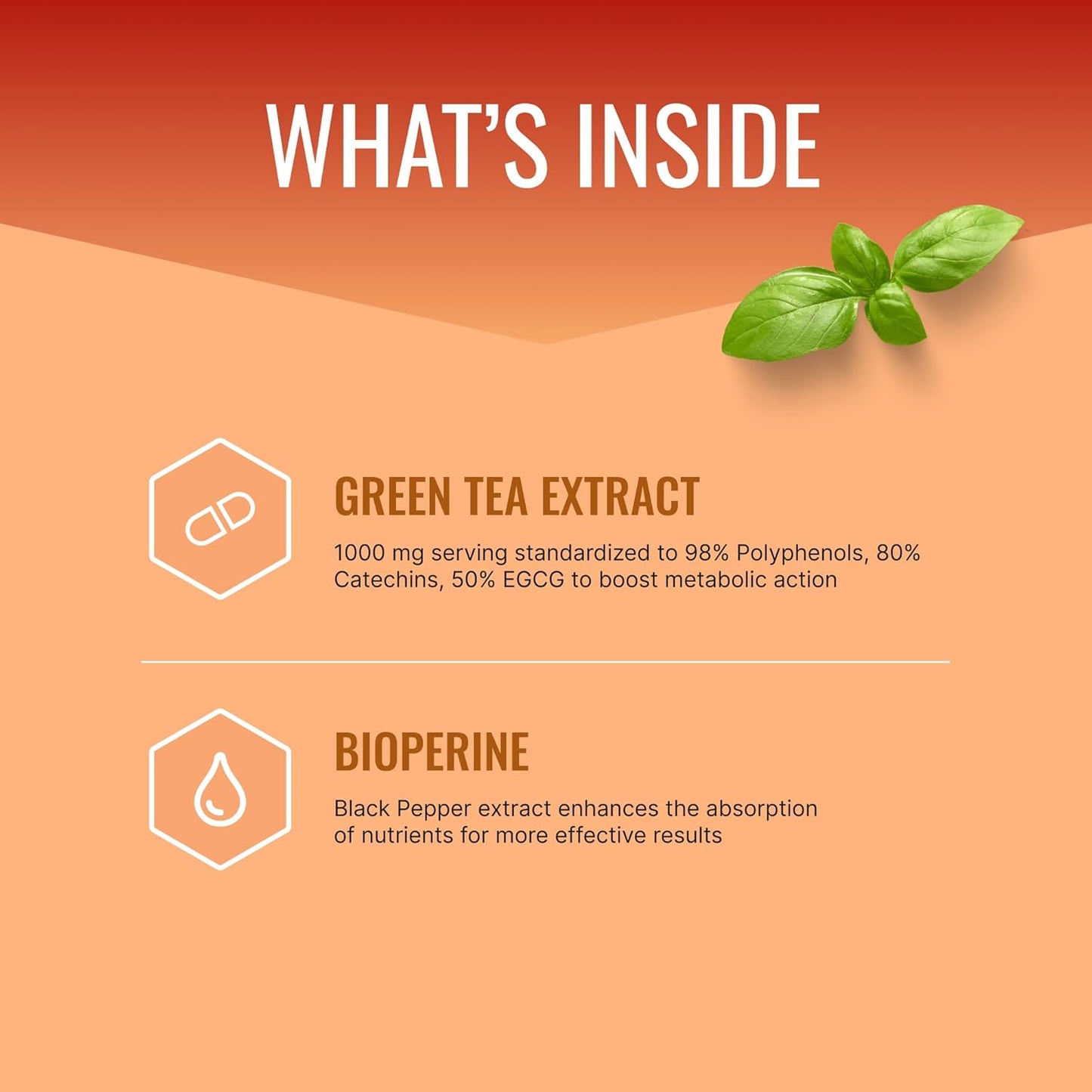 Approved Science MetaboBurn - Metabolic Support - Green Tea and BioPerine - 60 Vegan Capsules - High-Potency Extract - 50% EGCG - Non-GMO, Soy-Free, Allergen-Free - 60 Capsules (Pack of 1)