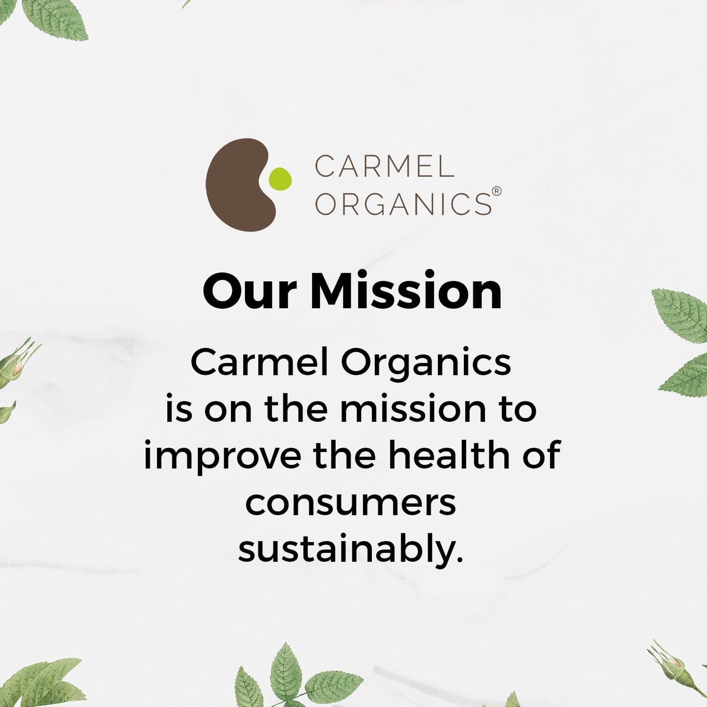 Moringa Leaves Powder (8 Ounce) | Non GMO | Super Food for Smoothies and Drinks | Natural | No Added Preservative or Additive | Moringa Oleifera Powder