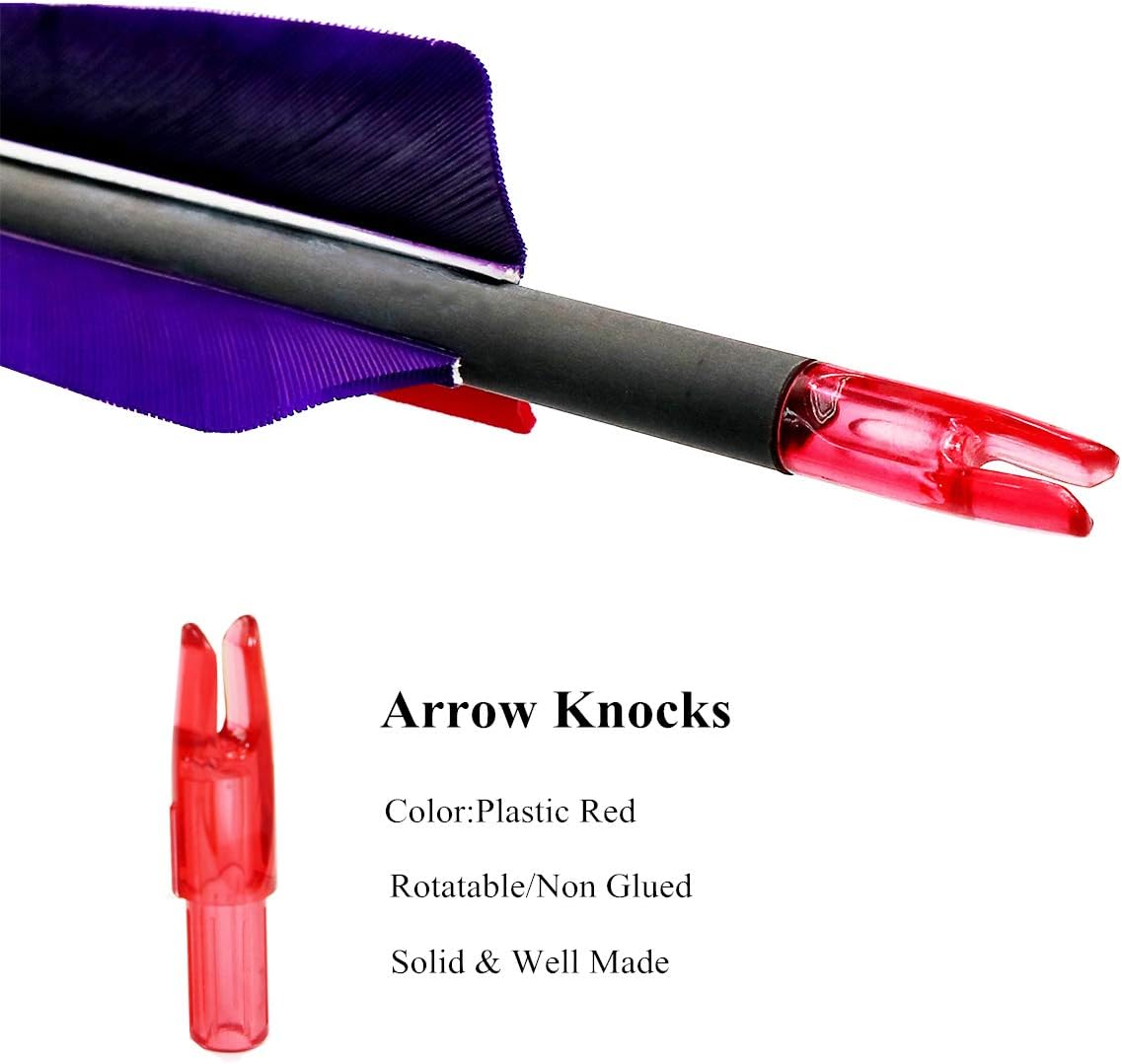 600 Spine Pure Carbon Arrows with Real Turkey Feathers Removable 100 Grain Tips Plastic Nocks for Archery Target Hunting