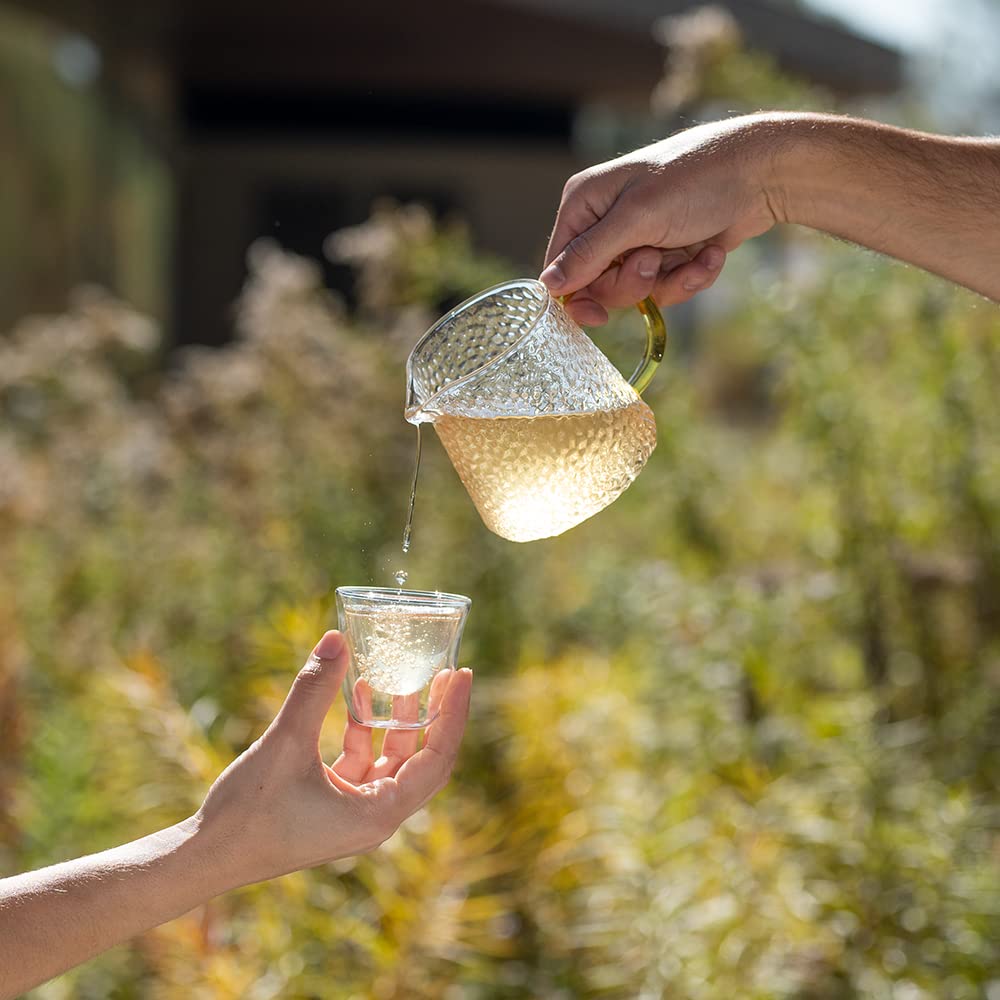 Grace Farms REVIVE Wellness Organic Tea Blend (100 Enveloped Pyramid Sachets w/ String & Tag) | Yerba Mate, Green Tea, & Adaptogens | Natural Energy Coffee Replacement | Fairtrade & Kosher | Gives Back 100% of Profits