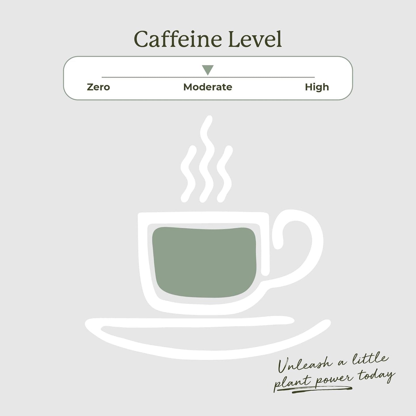 Starwest Botanicals Organic Jasmine Tea - Caffeinated Herbal Blend, Green Tea Scented with Natural Jasmine Flowers, Fragrant & Uplifting, Enjoy Hot or Iced, USDA Organic, Non GMO - 20 Tea Bags