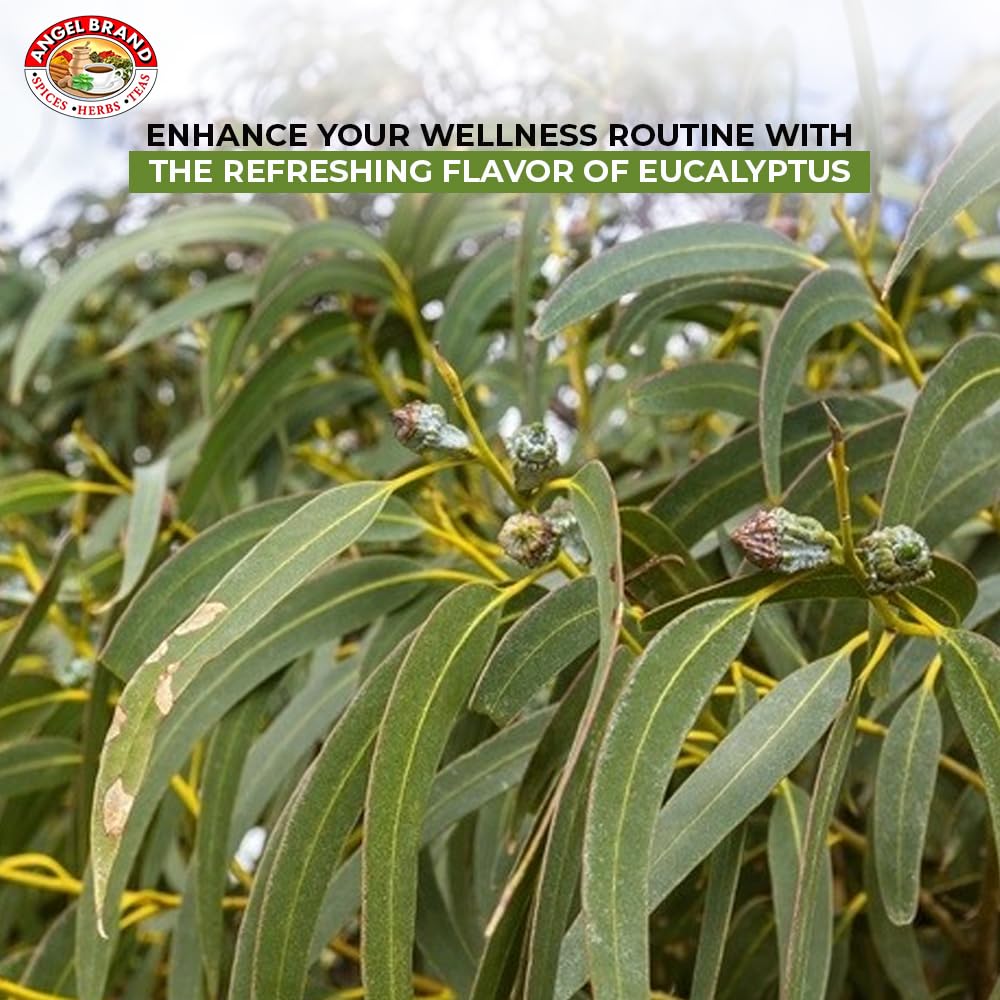 Angel Brand Eucalyptus Leaves 0.25 oz Pouch Pack of 3 - Eucalyptus Has Refreshing Slightly Wood Flavour - Dried Eucalyptus Leaves Commonly Used in Various Dishes, Herbal Tea, Syrups & Savory Dishes