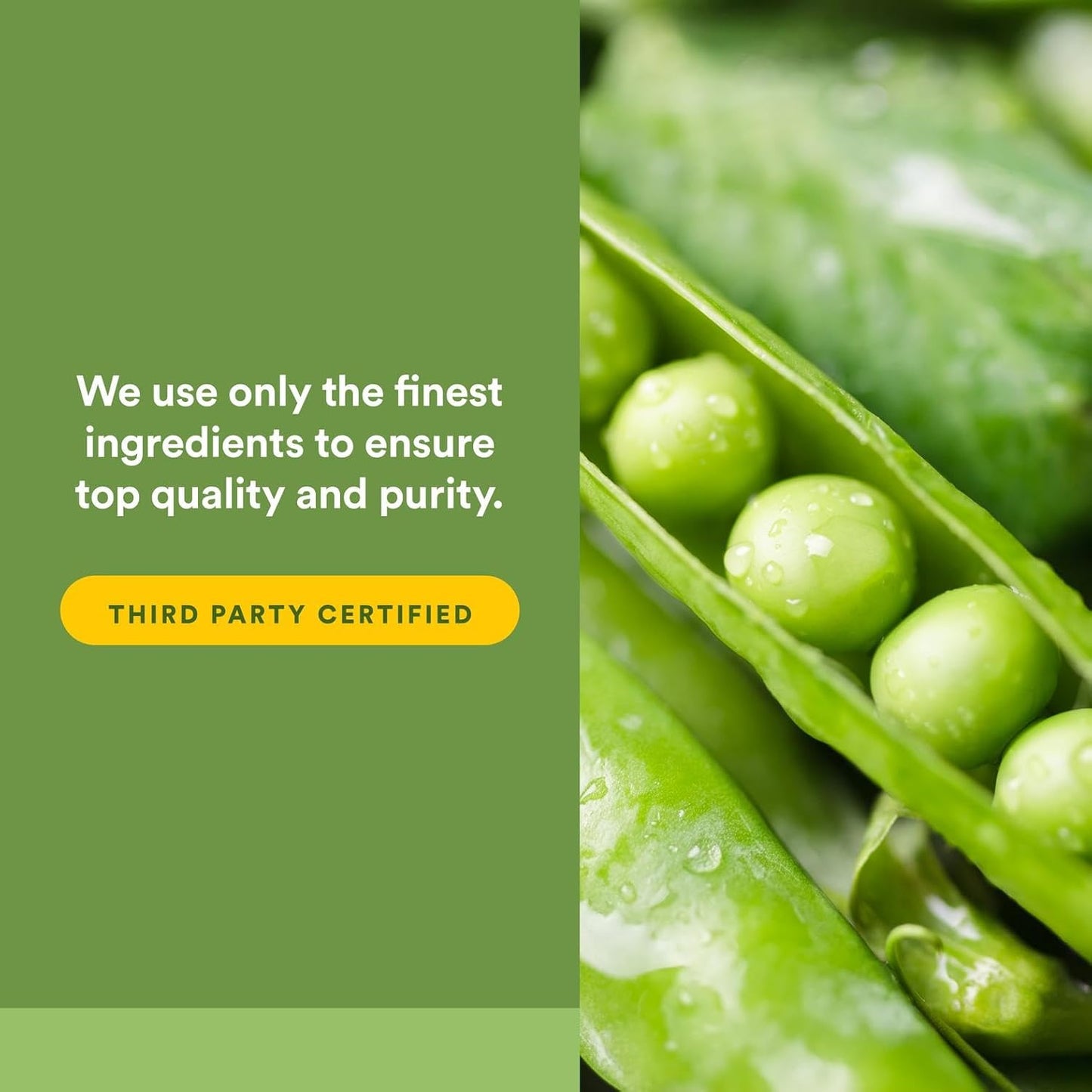 Whole Earth & Sea from Natural Factors, Organic Fermented Greens, Vegan Whole Food Supplement, Unflavored, 13.8 Oz