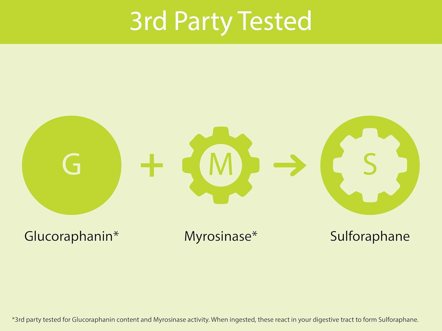 KOYAH Organic Broccoli Sprout Capsules – Freeze-Dried Whole Broccoli Sprouts – 3rd Party Tested for Active Myrosinase & Glucoraphanin (Sulforaphane Glucosinolate) - 60 Capsules