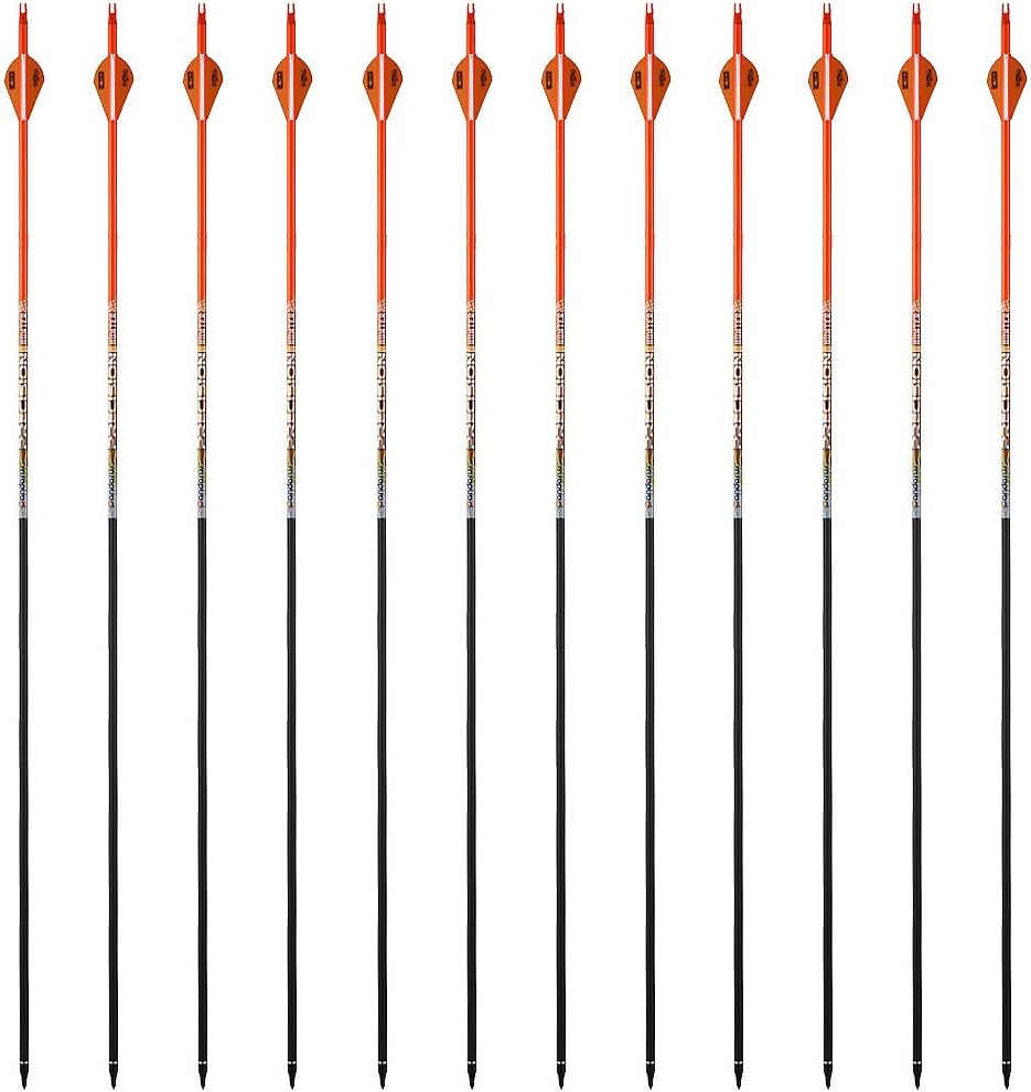 30/32" Inch ST0.006 Hunting Arrows for Compound & Recurve Bow,100% Carbon Archery Target Arrows with Removable Tips for Accurate Hunters & Bowhunters (Pack of 12)