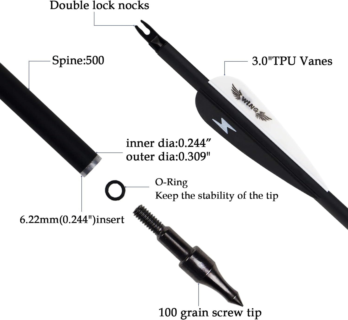 31inch Carbon Arrow Archery Targeting Practice Hunting Arrows for Compound & Recurve Bow with Removable Tips(Pack of 12)