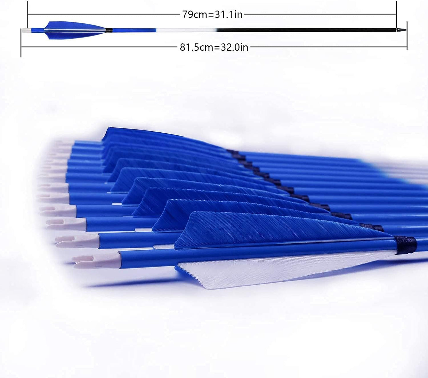 31Inch Carbon Arrows, Targeting Practice Hunting Arrow, Turkey Feather Fletching Arrow, with Removable Tips and nocks for Recurve & Compound Bow