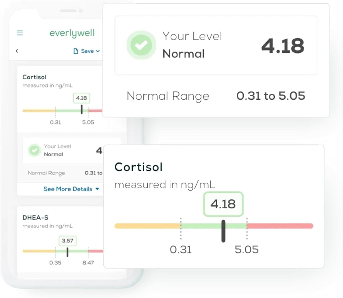 Everlywell Men's Health Test - at-Home Collection Kit - Discreet, Accurate Results from a CLIA-Certified Lab Within Days - Ages 18+