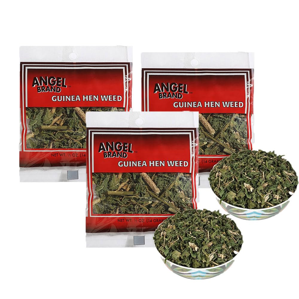 Angel Brand Guinea Hen leaves Tea – 0.5 oz Pouch Pack of 3 Sourced From Lush Tropics, Discover Potent & Versatile Qualities of Our Premium Anamu Plant - Famous for Its Health Benefits