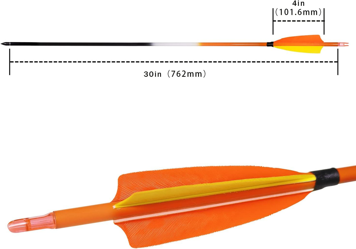 31Inch Carbon Arrows, Targeting Practice Hunting Arrow, Turkey Feather Fletching Arrow, with Removable Tips and nocks for Recurve & Compound Bow