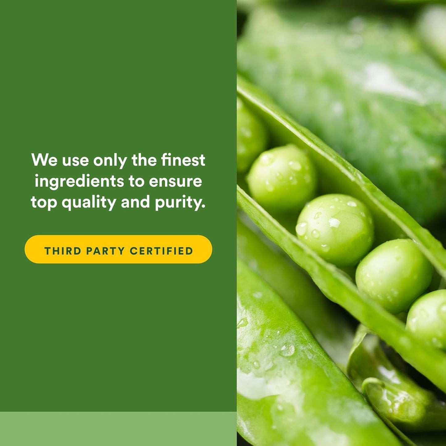 Whole Earth & Sea from Natural Factors, Organic Fermented Greens, Vegan Whole Food Supplement, Chocolate, 15.5 Oz