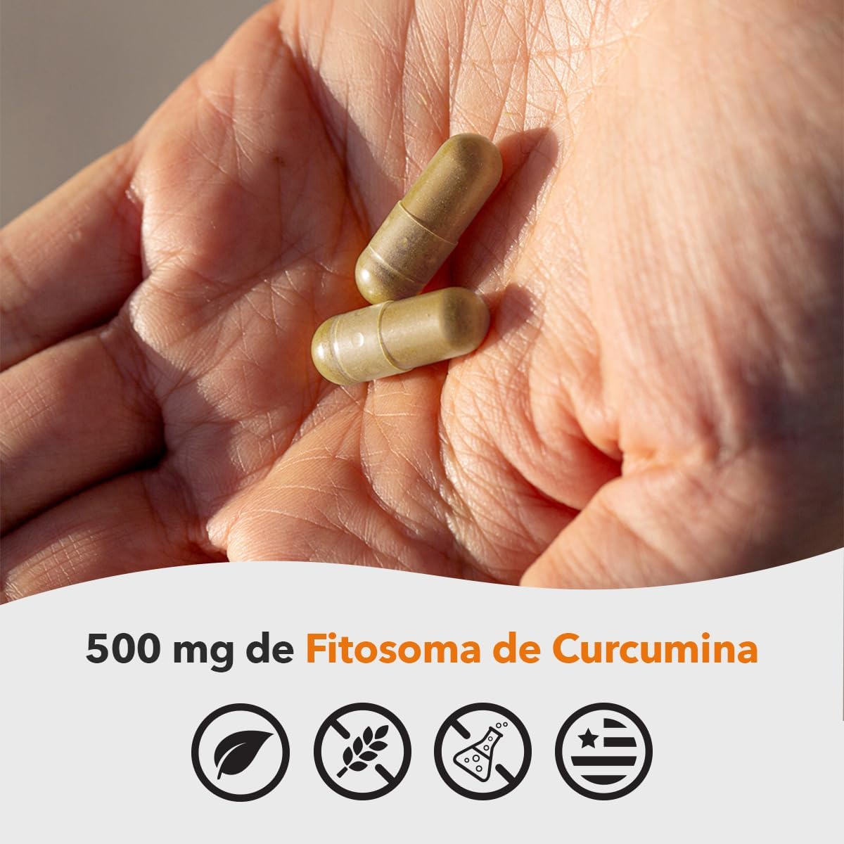 LifeSeasons Essentials Meriva Turmeric - Curcumin Phytosome Supplement - Supports Muscles Joints Bones & Liver - Enhance Circulation & Heart Health - Eases Body Stiffness & Aches - 60 Capsules