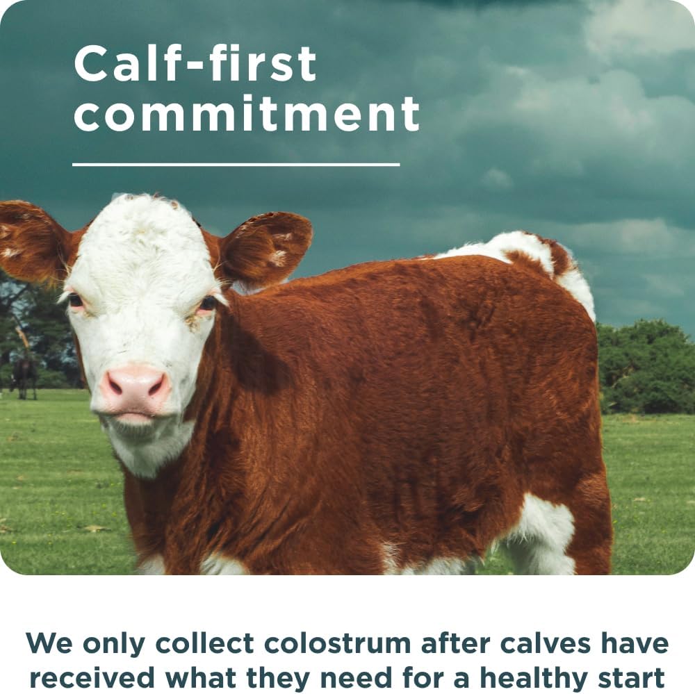 Ancient Nutrition Colostrum Superfood Powder, Grass Fed Bovine Colostrum, Supports Healthy Gut Microbiome and Immune System, Clinically Studied Lactoferrin & Probiotics, Lemon Bar, 60 Servings