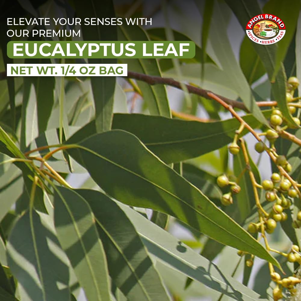 Angel Brand Eucalyptus Leaves 0.25 oz Pouch Pack of 3 - Eucalyptus Has Refreshing Slightly Wood Flavour - Dried Eucalyptus Leaves Commonly Used in Various Dishes, Herbal Tea, Syrups & Savory Dishes