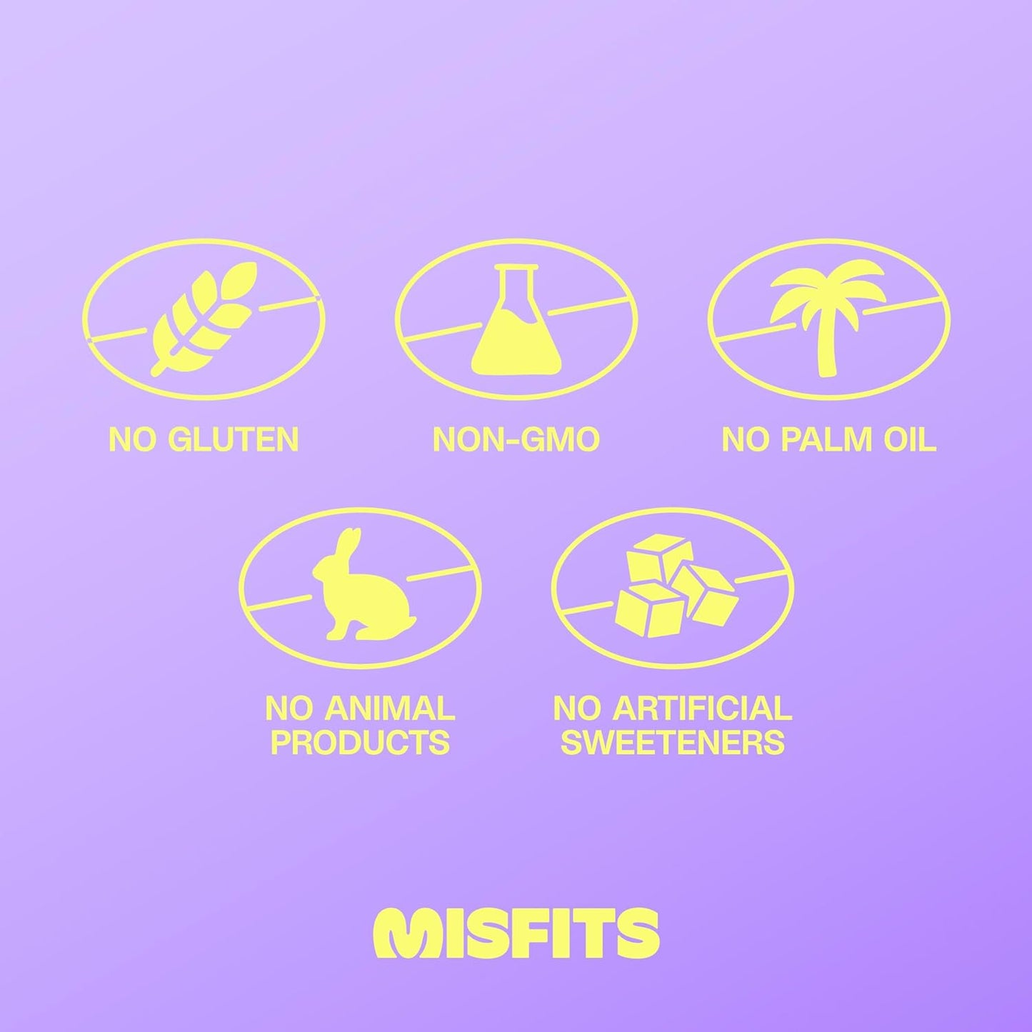 Misfits Vegan Protein Bars, Caramel Fudge - Updated Recipe | Plant Based, Low Sugar & Carb, High Fiber Snacks | Pack of 12