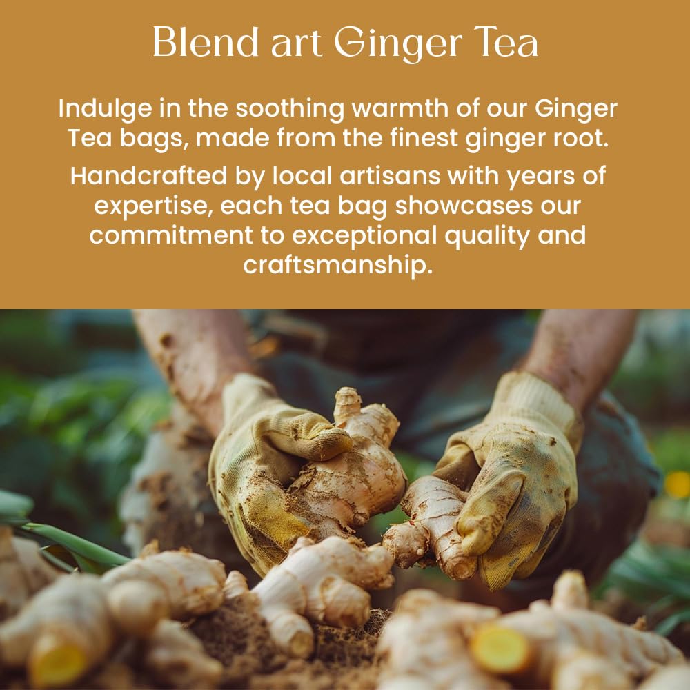 Blendart Ginger Tea Bags, 100 Teabags, 2g/bag - 100% Pure Ginger Root Tea Bag - Warm & Spicy Caffeine Free Ayurvedic Herbal Tea - Support Digestion & Boost Immunity Pyramid Teabags