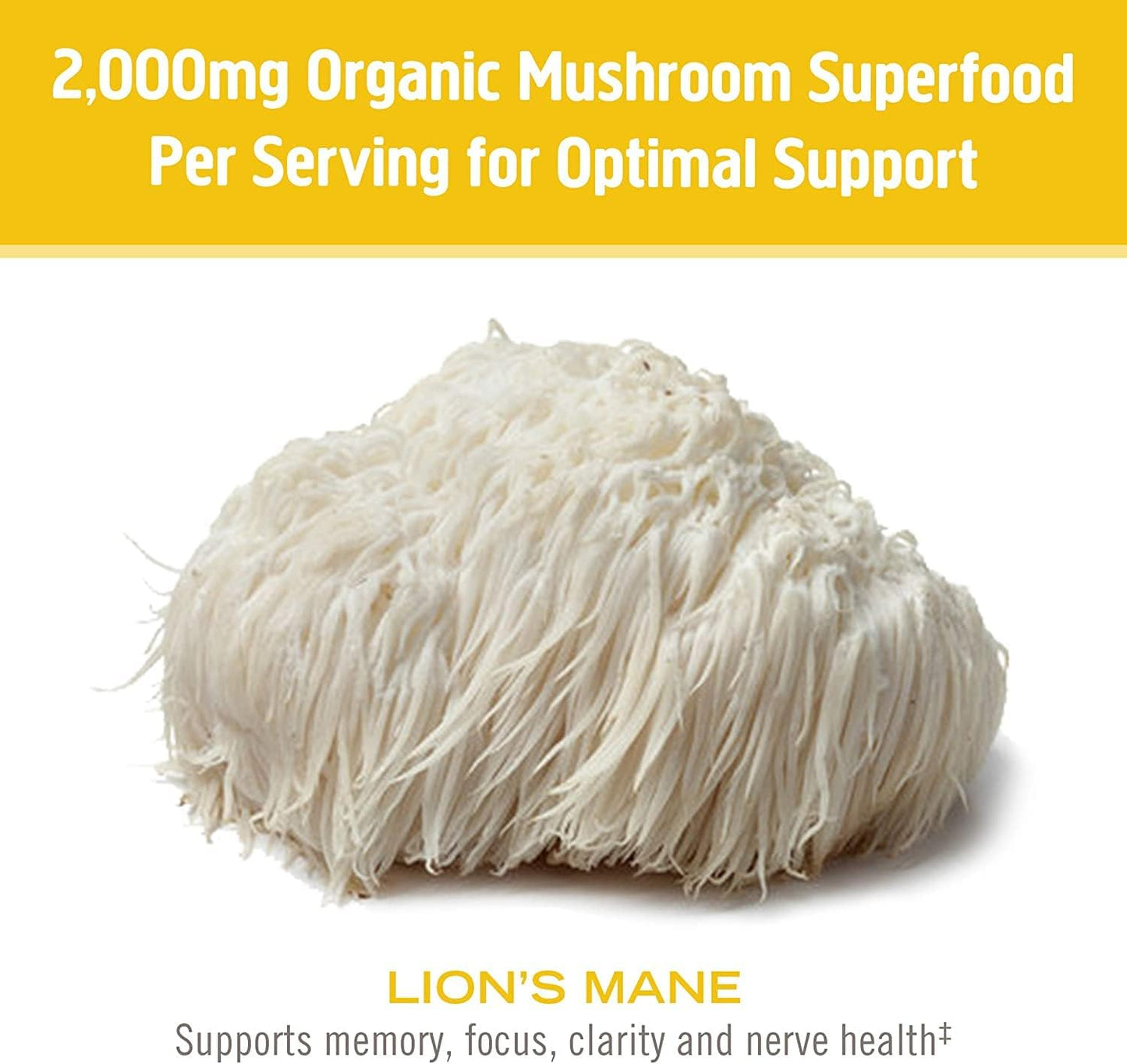 OM MUSHROOM SUPERFOOD Lion's Mane Mushroom Capsules Superfood Supplement, 180 Count, 60 Days, Fruit Body and Mycelium Nootropic for Memory Support, Focus, Clarity, Nerve Health, Creativity and Mood