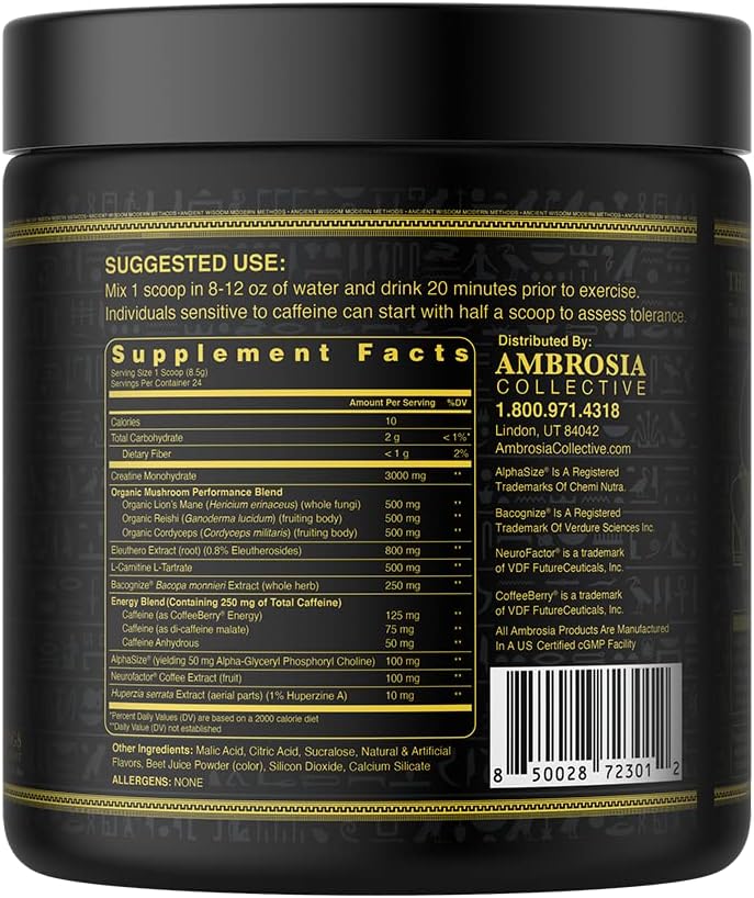 Ambrosia Kinetic Organic Preworkout, Mushroom Enhanced Natural Pre Workout Supplement, Nootropic Superfood Powder for Energy (Watermelon Candy)