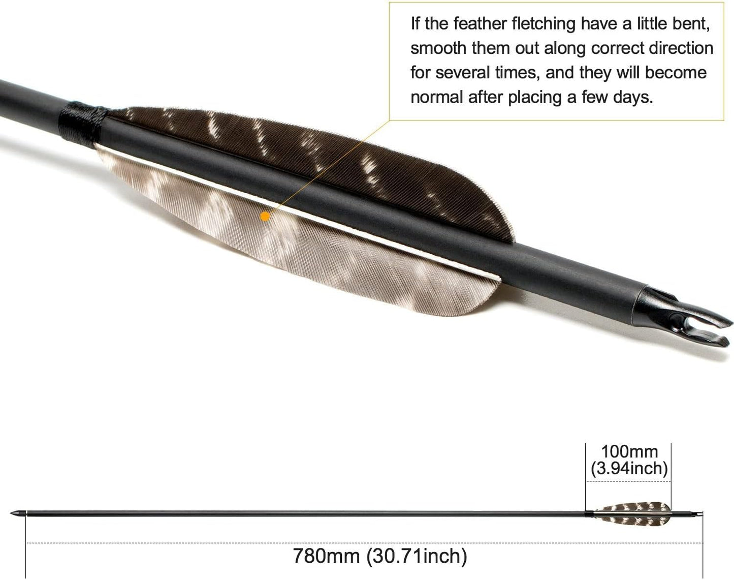 31Inch Carbon Arrow, Practice Hunting Arrows, Camo Turkey Feather Fletching, Arrows for Compound & Recurve Bow with Removable Tips Adjustable Nocks