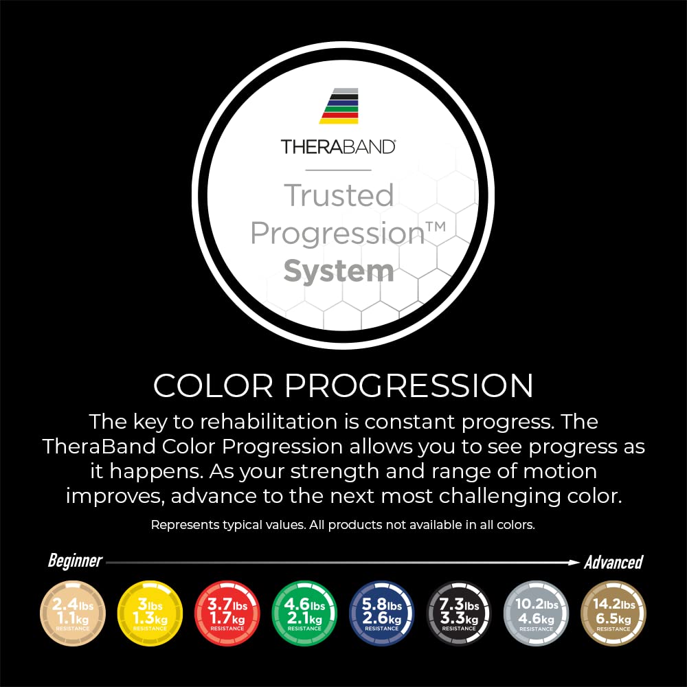 THERABAND Professional Latex Resistance Bands, Individual 6 Ft Elastic Band for Upper & Lower Body Exercise, Physical Therapy, Pilates, At-Home Workouts, 6 Foot, Silver, Super Heavy, Level 7