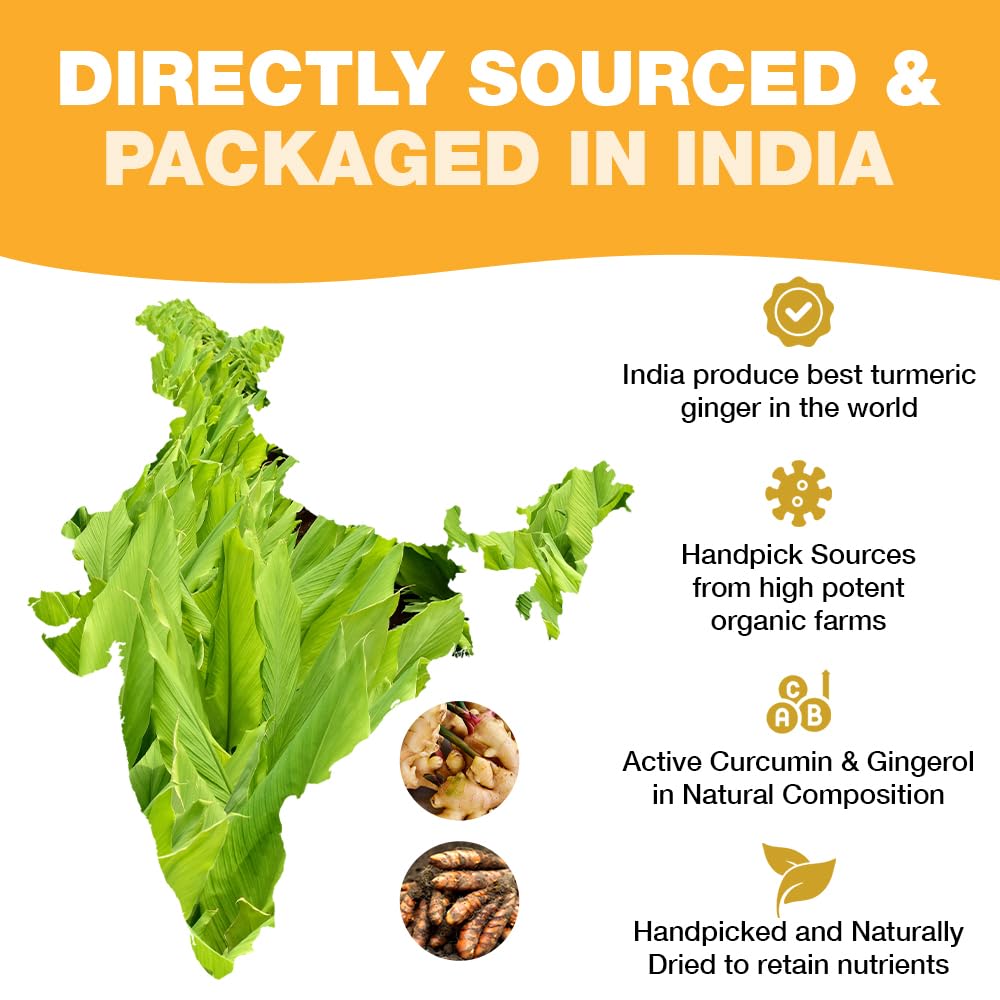 HANDPICK, Organic Turmeric Ginger Tea, 100 Eco-Conscious Tea Bags | Caffeine Free, Gluten Free, Non-GMO | 100% Pure Herbal Blend - Savory & Spicy