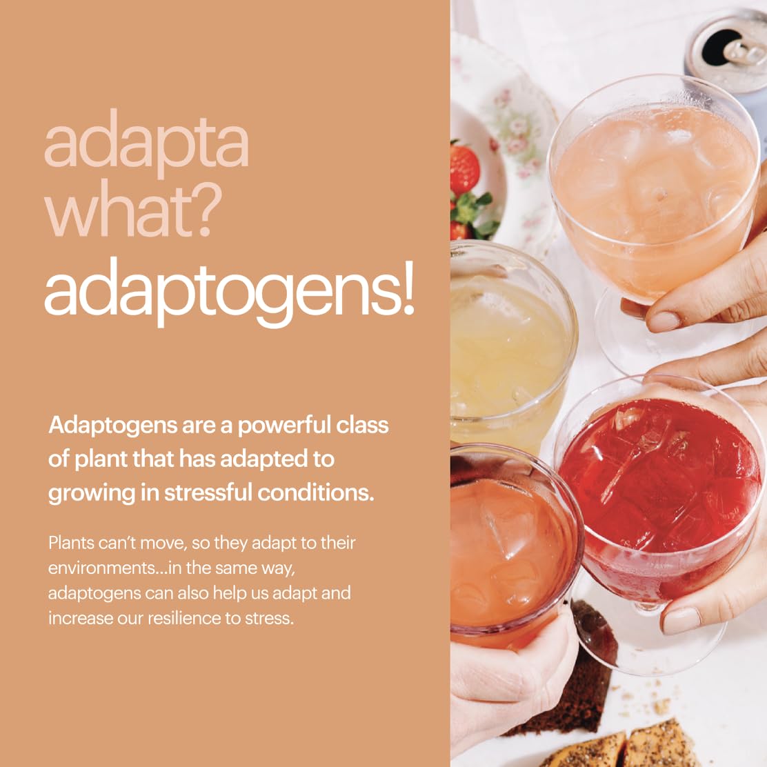 Heywell Sparkling Adaptogenic Water, Variety Pack 12 Fluid Ounce (Pack of 12) Includes - Lime, Grapefruit, Orange Mango, Strawberry Lemon - Calm Drink, Sparkling Drink