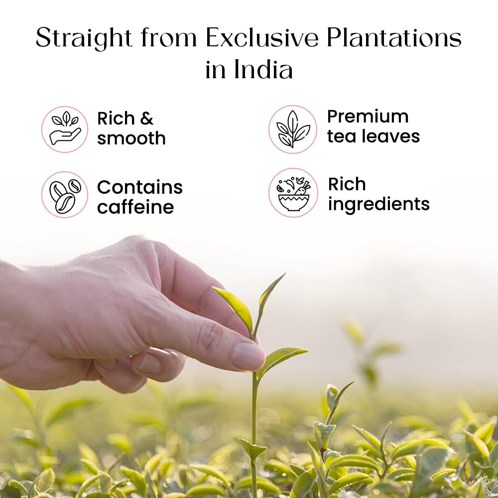 Blendart Blossom Blush Rose White Tea Bags Delicate Caffeinated Tea Made from Fresh Leaves. Natural Premium White Tea Bags -50 Pyramid Tea Bags