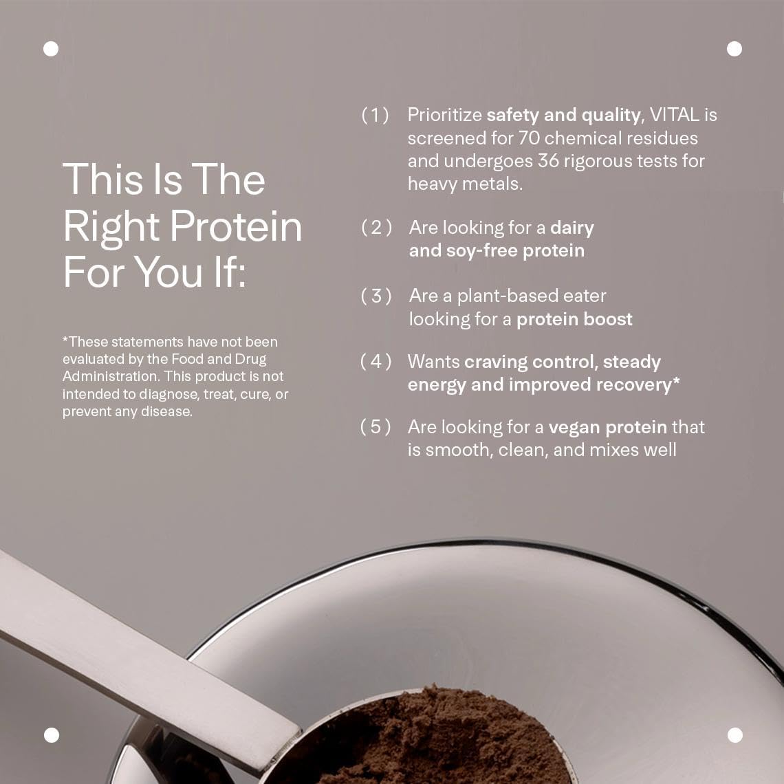 LTH VITAL Vegan Protein - Trusted by Life Time fitness Members - Plant-Based Protein Powder - Made from Pea Protein - Supports a Healthy Immune System - Gluten Free & Soy Free - Chocolate, 30 Servings