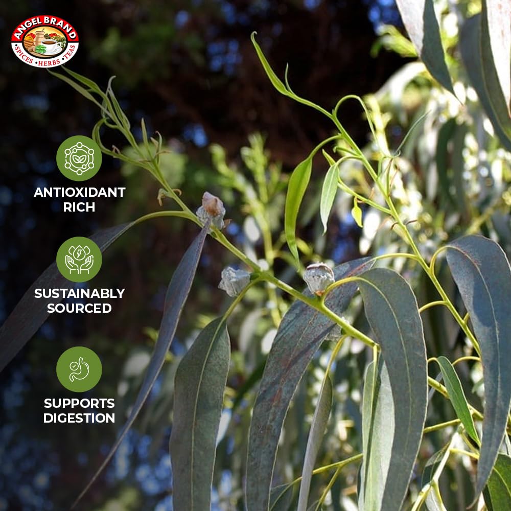 Angel Brand Eucalyptus Leaves 0.25 oz Pouch Pack of 3 - Eucalyptus Has Refreshing Slightly Wood Flavour - Dried Eucalyptus Leaves Commonly Used in Various Dishes, Herbal Tea, Syrups & Savory Dishes