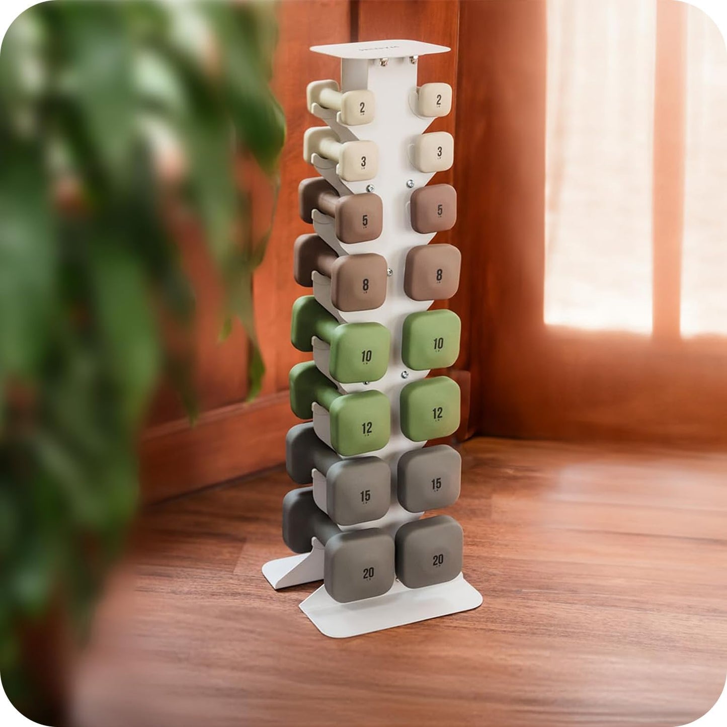 SafeGrip Dumbbells, Anti-Slip, Anti-Roll, Thick Handles, Free Weights, Square Dumbbells for Secure Workouts at Home, Weightlifting, and Personal Training